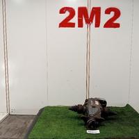 DIFFERENZIALE POSTERIORE BMW Serie 1 CoupÃ¨ (E82)