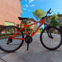 BICICLETTA MAINO AIGOR XC (Mountain-bike) 