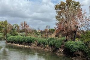 Terreno di 40000 m² a Roma