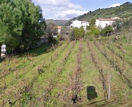 Terreno Edificabile a Viddalba