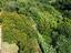 Immagine 23