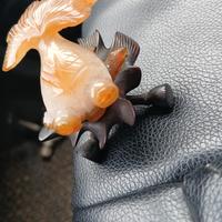 pesce in agata gina 