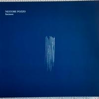 Nestore Pozzo. Incisore - Ecomuseo Valle Elvo e Se