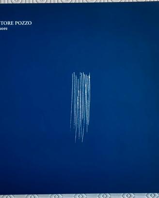 Nestore Pozzo. Incisore - Ecomuseo Valle Elvo e Se