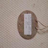 piastrino tedesco ww2 