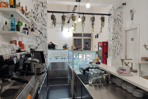 PREZZO RIBASSATO Attività al mare carolina caffè