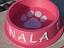 Immagine 1