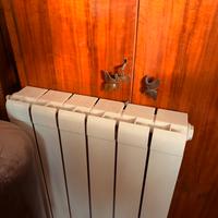 Termosifoni alluminio