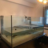 Acquario completo di accessori e mobile. 1000 lt