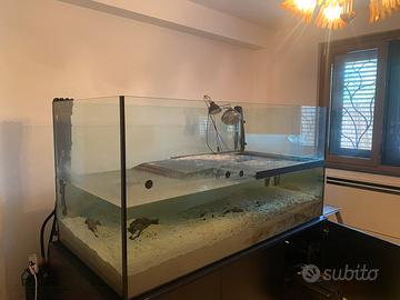 Acquario completo di accessori e mobile. 1000 lt