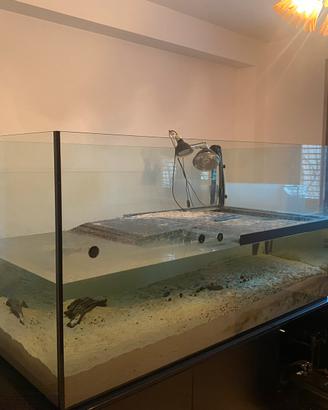 Acquario completo di accessori e mobile. 1000 lt