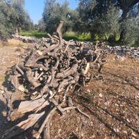 legna d ulivo da ardere