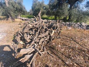 legna d ulivo da ardere