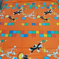 N ° 2 Trapunte Bassetti singole