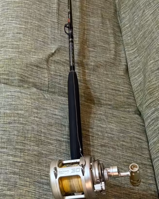 Canna da pesca (TRAINA)