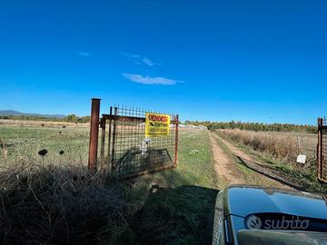 Azienda agricola di 73.000 mq