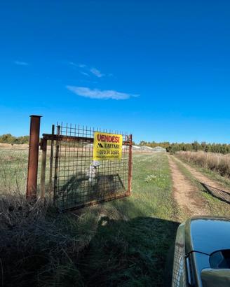 Azienda agricola di 73.000 mq