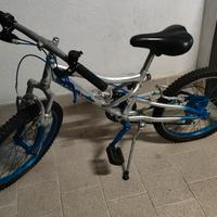 bicicletta 