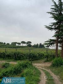 Terreno di 60000 m² a Faenza