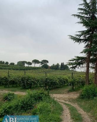 Terreno di 60000 m² a Faenza