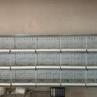 batteria gabbie italgabbie