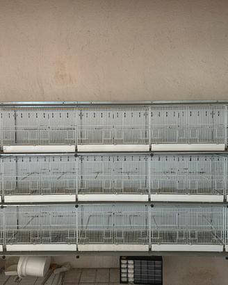 batteria gabbie italgabbie