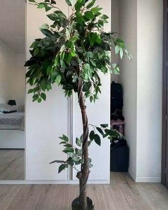 Pianta finta 160cm