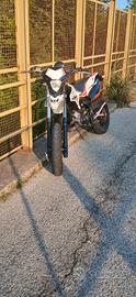 beta 50rr motard