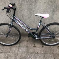 Bici mtb