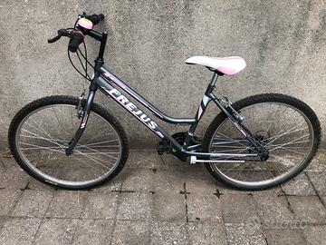 Bici mtb