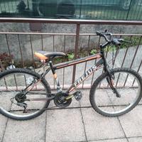 bicicletta 