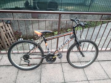 bicicletta 