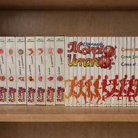 Collana completa “Esplorando il Corpo  umano”