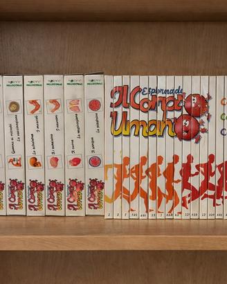 Collana completa “Esplorando il Corpo  umano”