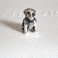 Pandora charm Cagnolino cane dog pet cucciolo 
