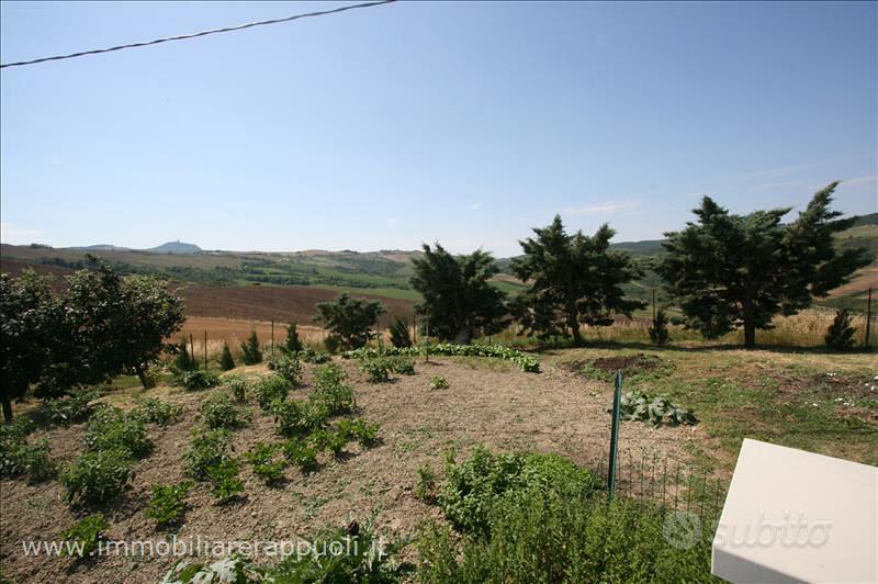 AG32 - Radicofani azienda agricola in posi - Vista 2