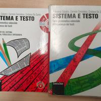 Libro grammatica valenziale "SISTEMA E TESTO"