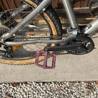 Mtb 26 pollici per ragazza