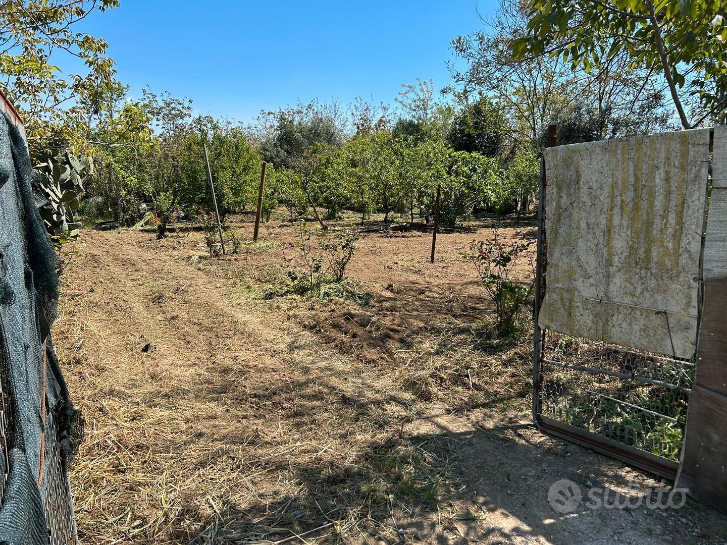 Terreno agricolo - Vista 4