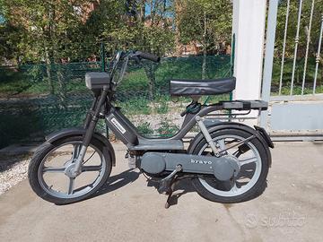 piaggio bravo