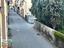 Immagine 7
