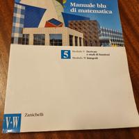 manuale blu di matematica 