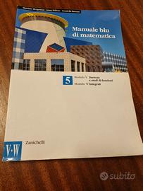 manuale blu di matematica 