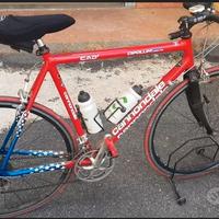 Bici da Corsa Cipollini