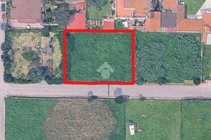 TER. AGRICOLO A ROMA