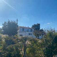 Casa ristrutturata con corte e box rif.0911