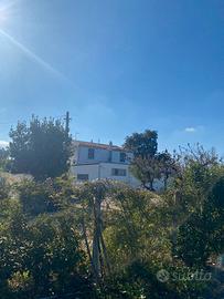 Casa ristrutturata con corte e box rif.0911