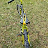 MTB Bici