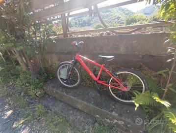 bicicletta 