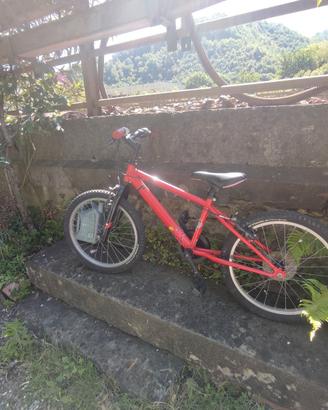 bicicletta 
